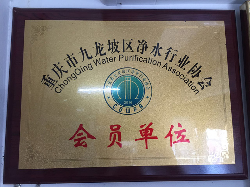 重庆市九龙坡区净水行业协会